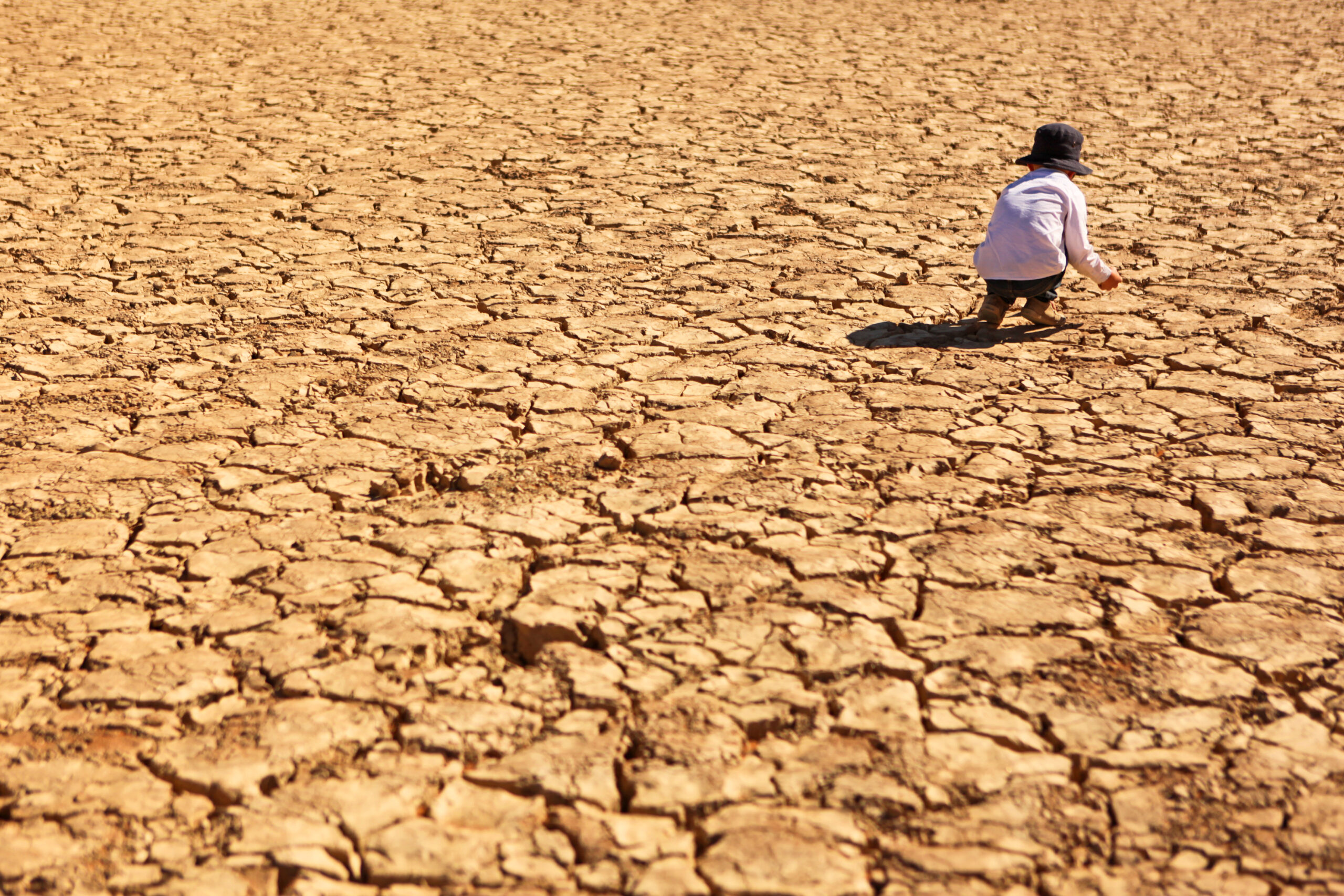 Big Oil's $53 billion profit bonanza comes as El Niño threatens millions of lives